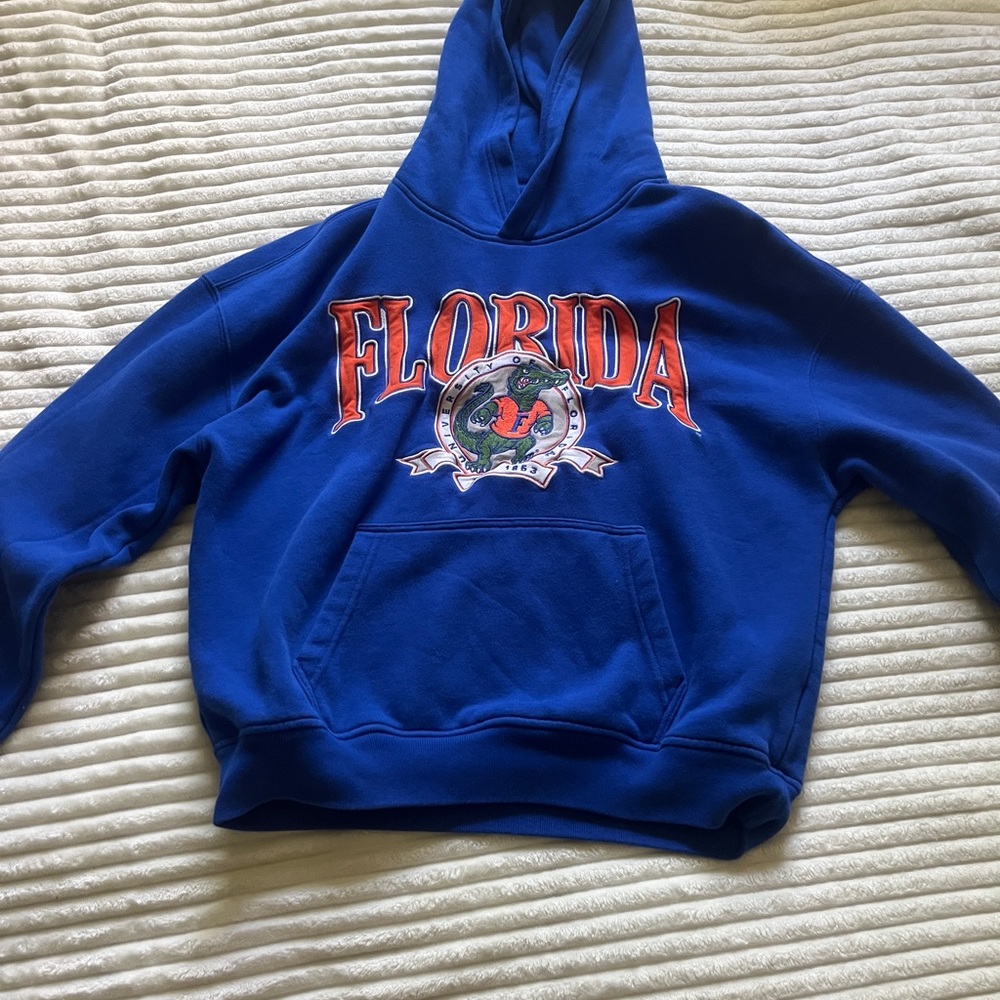 Hollister Blue Hoodie